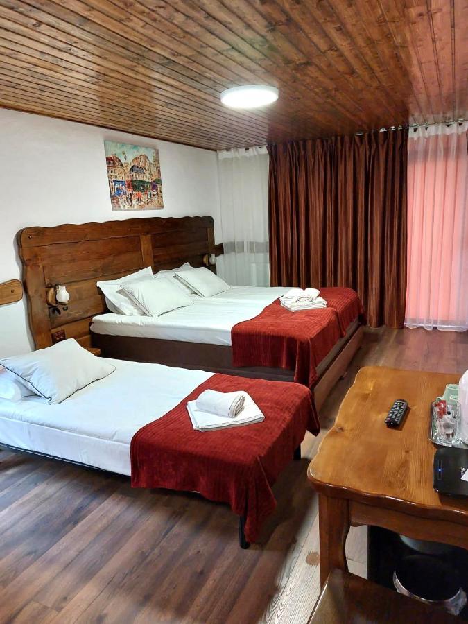 Vila Swe Sar Hotel Curtea De Arges Exterior photo